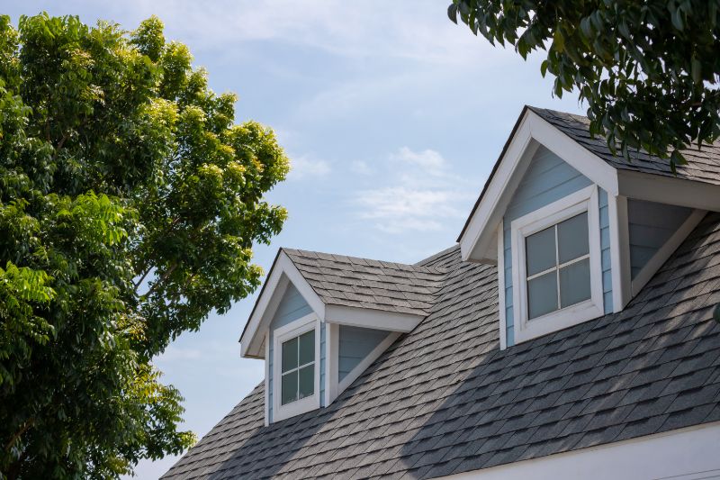 top of home surrounded by trees